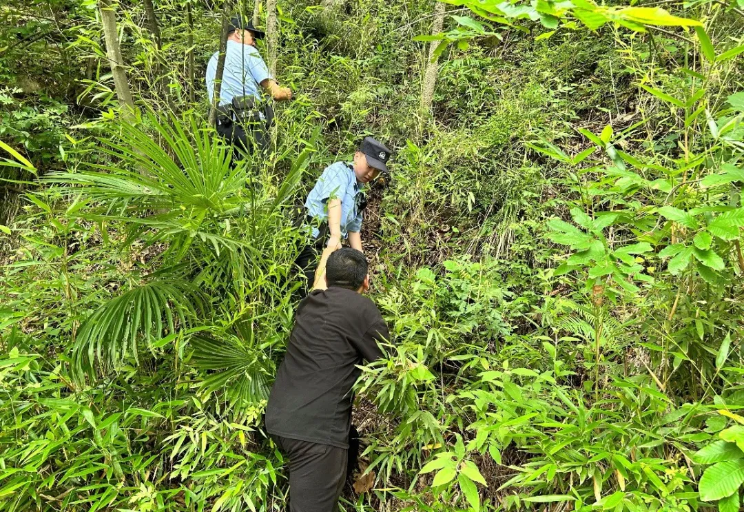 小伙任性離家出走，漢中民警深山尋回