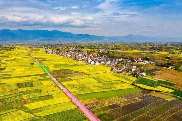 聚焦“旅居在漢中”！這場網(wǎng)上新聞發(fā)布會說了啥？
