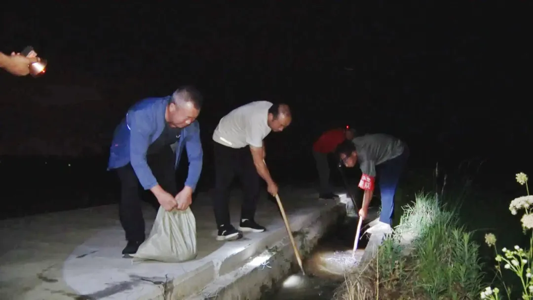 漢臺(tái)：“秧”不誤時(shí) “水”盡其用，科學(xué)守護(hù)“糧袋子”