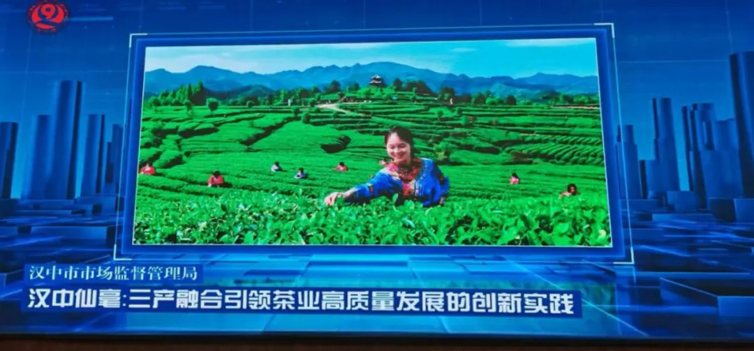 漢中一案例入選全省典型案例庫(kù)