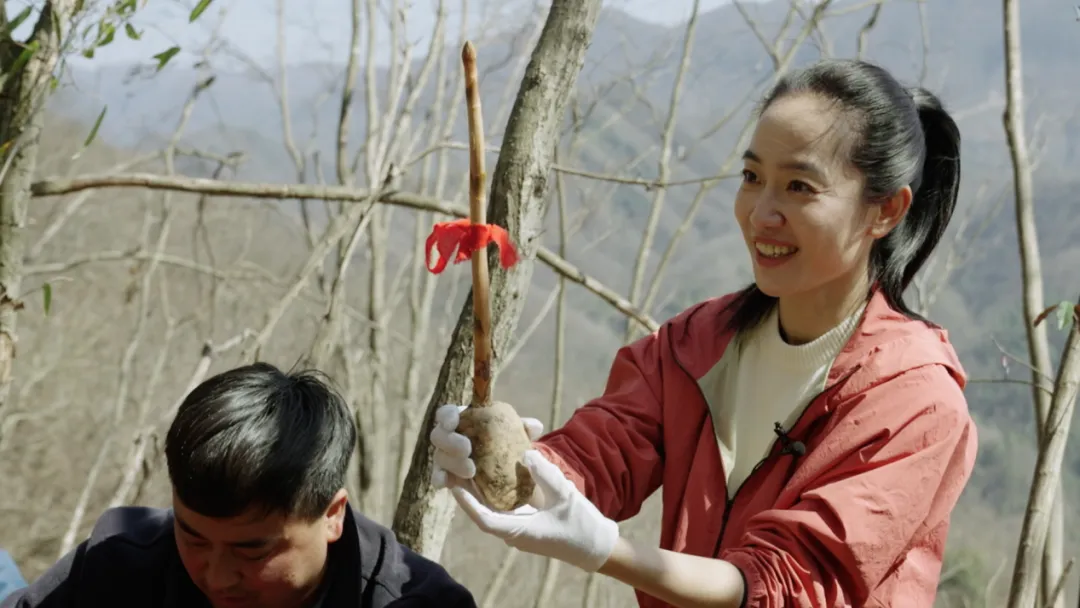央視財(cái)經(jīng)關(guān)注！看漢中如何探索鄉(xiāng)村振興之路→