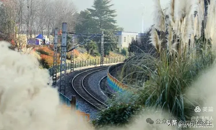 春節(jié)不遠游！漢中這幾個地方嗨翻天